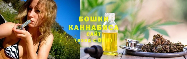 ешки Корсаков