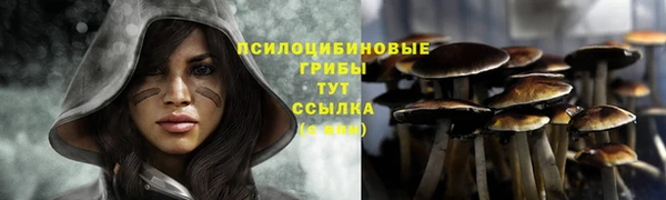 мяу мяу кристалл Коряжма