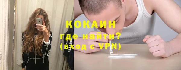 ешки Корсаков