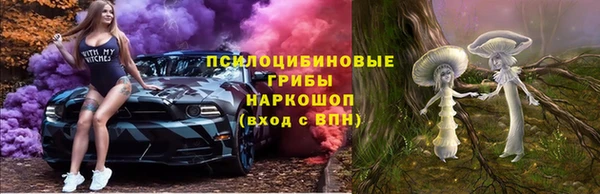 МДПВ Костерёво