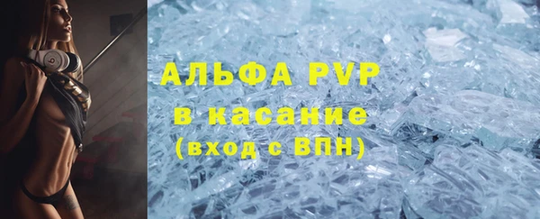 ешки Корсаков