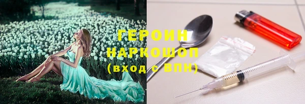 ешки Корсаков