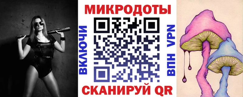 Галлюциногенные грибы мицелий Великий Устюг